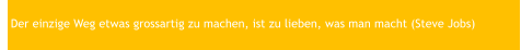 Der einzige Weg etwas grossartig zu machen, ist zu lieben, was man macht (Steve Jobs)